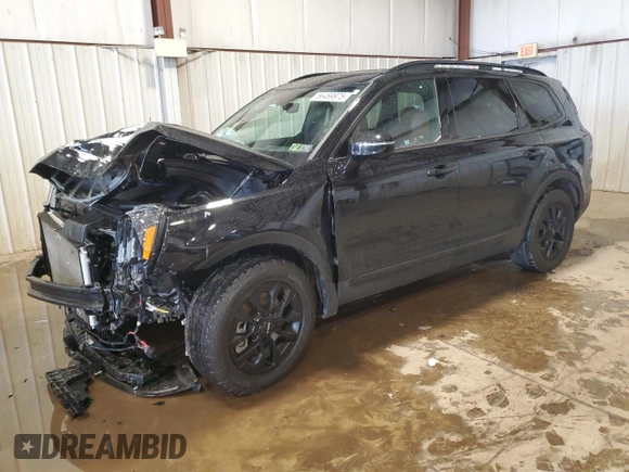 2024 Kia Telluride SX Prestige X-Pro with VIN 5XYP5DGC1RG498689, listed as a Copart auction lot 56469975 with 21,452 mi miles and Salvage title. Bid and sale history available at DreamBid. Image 1.