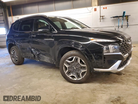 2021 Hyundai Santa Fe Calligraphy with VIN 5NMS5DAL5MH323833, listed as a Copart auction lot 41337795 with 54,484 mi miles and Salvage title. Bid and sale history available at DreamBid. Image 4.