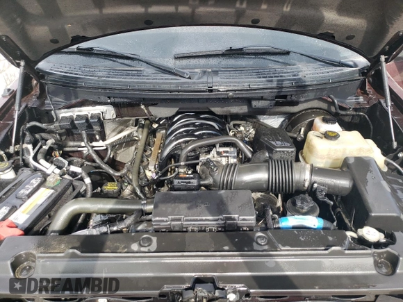2009 Ford F-150 XL with VIN 1FTRW12869FA15059, listed as a Copart auction lot 48548675 with 90,153 mi miles and Non Repairable. Bid and sale history available at carsss.com. Image 11.