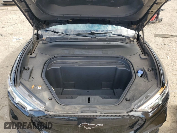 2022 Ford Mustang Mach-E Select with VIN 3FMTK1SS7NMA20418, listed as a Copart auction lot 46099935 with 13,390 mi miles and Salvage title. Bid and sale history available at DreamBid. Image 12.