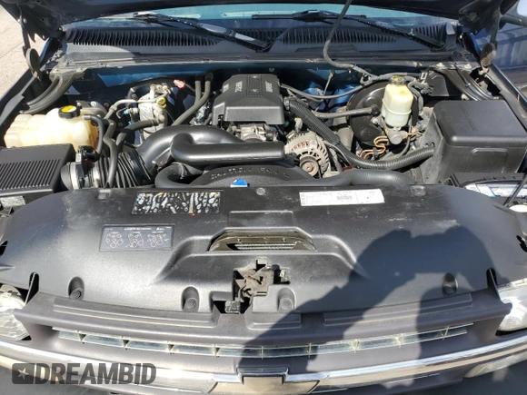 1999 Chevrolet Silverado 1500 LT with VIN 1GCEK14T9XE105255, listed as a Copart auction lot 51307125 with 266,328 mi miles and Salvage Title. Bid and sale history available at carsss.com. Image 11.