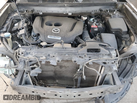2017 Mazda CX-9 Sport with VIN JM3TCABY2H0134735, listed as a Copart auction lot 55098725 with 173,818 mi miles and Salvage Title. Bid and sale history available at carsss.com. Image 12.