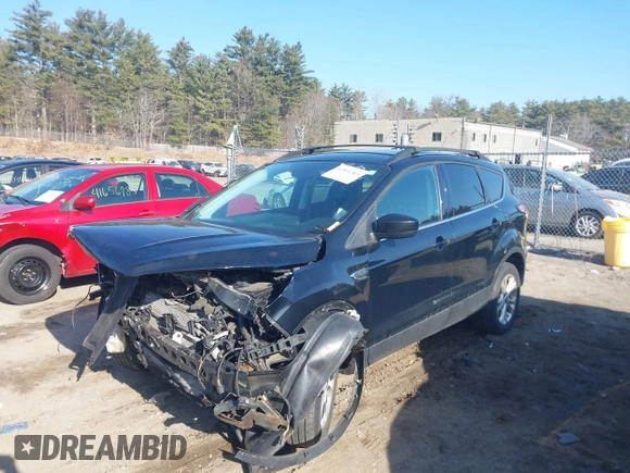 2017 Ford Escape SE with VIN 1FMCU9GD5HUC70341, listed as a IAAI auction lot 41801365 with 135,439 mi miles. Bid and sale history available at carsss.com. Image 2.