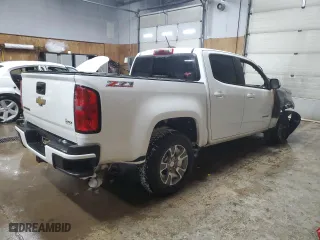 2017 Chevrolet Colorado 2WD Z71 with VIN 1GCGSDE19H1171546, listed as a Copart auction lot 42098005 with 0 mi miles and Non Repairable. Bid and sale history available at carsss.com. Image 3.