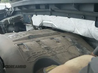 2011 Ford F-150 XL z VIN 1FTFX1ET8BFC16970, wystawiony jako IAAI lot #43373804 z przebiegiem 119 060 mil mil oraz . Historia ofert i sprzedaży dostępna na DreamBid. Obrazek 19.