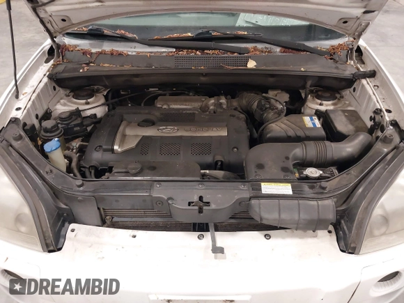 2006 Hyundai Tucson GL with VIN KM8JM72BX6U465737, listed as a IAAI auction lot 42203453 with 162,107 mi miles. Bid and sale history available at carsss.com. Image 10.
