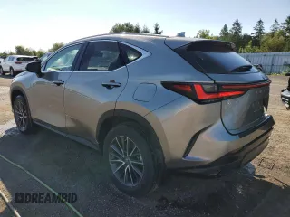2023 Lexus NX with VIN 2T2ADCEZ2PC003530, listed as a Copart auction lot 67998304 with 10,784 mi miles and Salvage Title. Bid and sale history available at carsss.com. Image 2.