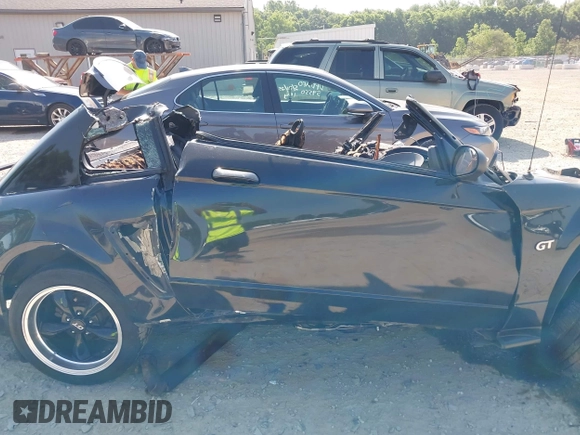 2002 Ford Mustang GT Deluxe with VIN 1FAFP42X52F185384, listed as a IAAI auction lot 42475600 with Not provided miles and . Bid and sale history available at DreamBid. Image 12.