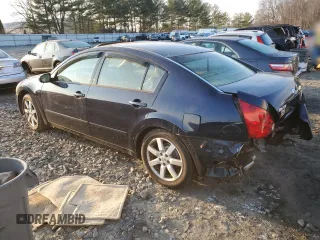 2005 Nissan Maxima 3.5 SE with VIN 1N4BA41E35C853740, listed as a Copart auction lot 41699305 with 104,756 mi miles and Salvage Title. Bid and sale history available at carsss.com. Image 2.