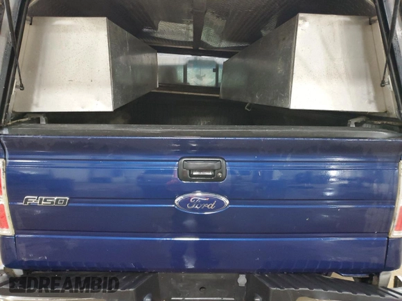 2009 Ford F-150 with VIN 1FTPF14V39KB74154, listed as a Copart auction lot 55580845 with 123,487 mi miles and Salvage title. Bid and sale history available at DreamBid. Image 10.