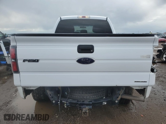 2014 Ford F-150 XL with VIN 1FTEX1EM7EKG10153, listed as a Copart auction lot 55842715 with 175,056 mi miles and Salvage title. Bid and sale history available at DreamBid. Image 6.