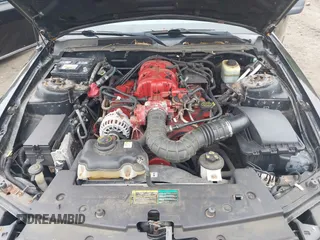 2005 Ford Mustang Deluxe with VIN 1ZVFT80N255229296, listed as a IAAI auction lot 42196582 with 134,374 mi miles and . Bid and sale history available at carsss.com. Image 10.