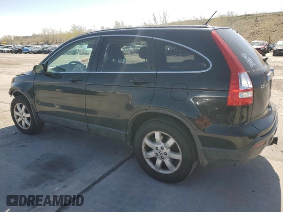 2009 Honda CR-V EX-L with VIN JHLRE38789C011323, listed as a Copart auction lot 54554445 with 228,363 mi miles and Salvage Title. Bid and sale history available at carsss.com. Image 2.