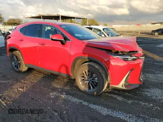 2024 Lexus NX 250 с VIN 2T2ADCAZ3RC006672, выставлен на аукционе Copart как лот 42750065 с пробегом 31 202 миль миль и Списание • Salvage title. История ставок и продаж доступна на DreamBid. Изображение 4.