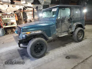 1994 Jeep Wrangler with VIN 1J4FY29S2RP471794, listed as a Copart auction lot 47488005 with 165,900 mi miles and Non repairable. Bid and sale history available at DreamBid. Image 1.