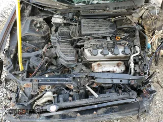 2003 Honda Civic LX with VIN 1HGEM22553L021820, listed as a Copart auction lot 51187205 with Not Provided miles and Salvage Title. Bid and sale history available at DreamBid. Image 11.