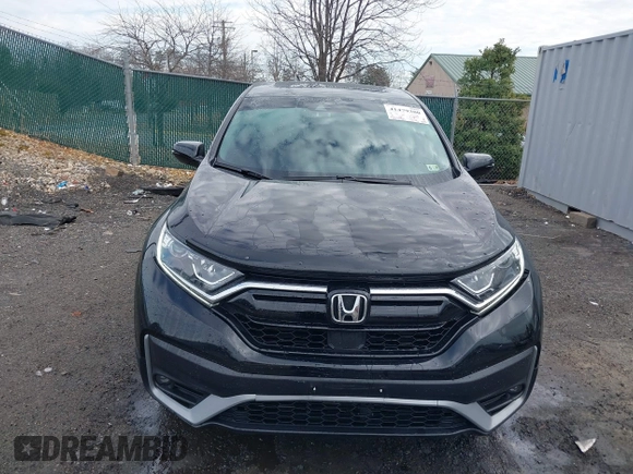 2020 Honda CR-V EX with VIN 5J6RW2H5XLA021643, listed as a IAAI auction lot 41479380 with 50,281 mi miles. Bid and sale history available at carsss.com. Image 12.
