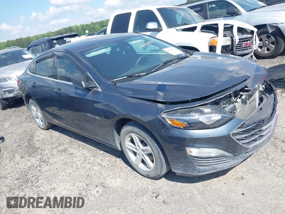 2019 Chevrolet Malibu LS with VIN 1G1ZB5ST3KF187099, listed as a IAAI auction lot 41950934 with 67,123 mi miles and . Bid and sale history available at DreamBid. Image 1.