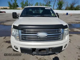 2009 Ford F-150 XL with VIN 1FTPW14V19FB17234, listed as a Copart auction lot 53957085 with 0 mi miles and Salvage Title. Bid and sale history available at carsss.com. Image 5.