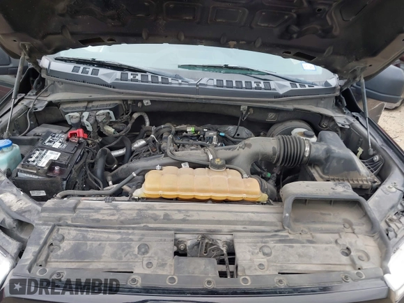 2019 Ford F-150 XL with VIN 1FTEW1CP3KKE90718, listed as a IAAI auction lot 41336066 with 138,577 mi miles and . Bid and sale history available at carsss.com. Image 10.