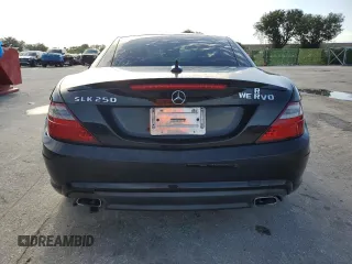 2013 Mercedes-Benz SLK-Class SLK 250 with VIN WDDPK4HA9DF061496, listed as a Copart auction lot 59889904 with 94,123 mi miles and Salvage Title. Bid and sale history available at carsss.com. Image 6.