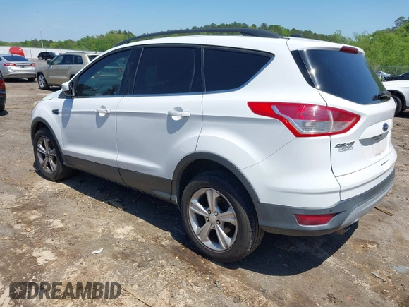 2014 Ford Escape SE with VIN 1FMCU0GX3EUB17202, listed as a IAAI auction lot 41995355 with 170,894 mi miles. Bid and sale history available at carsss.com. Image 3.