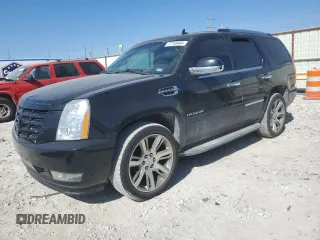 2010 Cadillac Escalade z VIN 1GYUKAEF1AR266293, wystawiony jako Copart lot #77749464 z przebiegiem 141 796 mil mil oraz Tytuł czysty. Historia ofert i sprzedaży dostępna na DreamBid. Obrazek 1.
