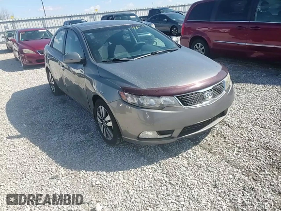2013 Kia Forte EX with VIN KNAFU4A25D5672809, listed as a Copart auction lot 46978785 with 175,173 mi miles and Salvage Title. Bid and sale history available at carsss.com. Image 11.