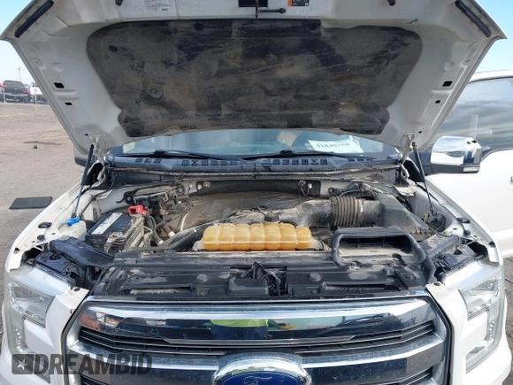 2016 Ford F-150 XLT with VIN 1FTEW1EG0GFB34840, listed as a IAAI auction lot 41840358 with 178,081 mi miles. Bid and sale history available at carsss.com. Image 10.