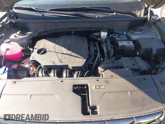 2024 Hyundai Tucson Limited with VIN 5NMJE3DE7RH366483, listed as a IAAI auction lot 41541545 with 4,380 mi miles and . Bid and sale history available at DreamBid. Image 10.