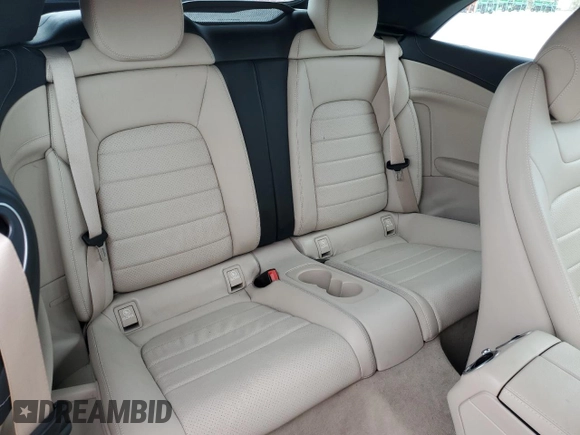 2023 Mercedes-Benz C 300 with VIN W1KWK8EB8PG117149, listed as a Copart auction lot 85022444 with 29,304 mi miles and Salvage Title. Bid and sale history available at DreamBid. Image 10.