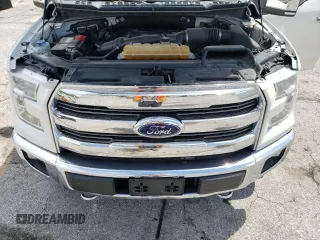 2017 Ford F-150 XL with VIN 1FTEW1EG5HFB85770, listed as a Copart auction lot 55435495 with 202,450 mi miles and Salvage title. Bid and sale history available at DreamBid. Image 11.