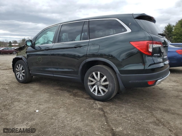 2019 Honda Pilot EX-L with VIN 5FNYF6H55KB018938, listed as a Copart auction lot 49288815 with 55,476 mi miles and Salvage Title. Bid and sale history available at carsss.com. Image 2.