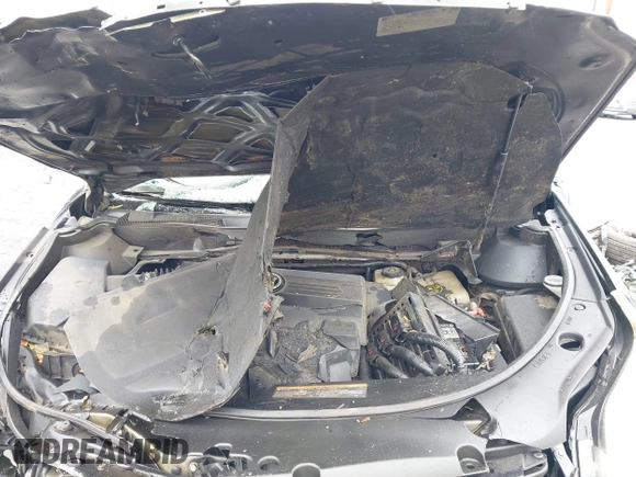 2015 Cadillac SRX with VIN 3GYFNAE36FS573940, listed as a IAAI auction lot 41808779 with Not Provided miles and . Bid and sale history available at DreamBid. Image 10.