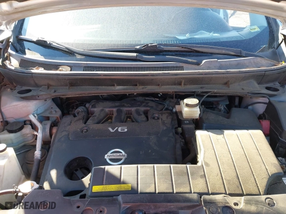 2010 Nissan Murano SL with VIN JN8AZ1MW0AW113531, listed as a IAAI auction lot 41125326 with 252,217 mi miles. Bid and sale history available at carsss.com. Image 10.