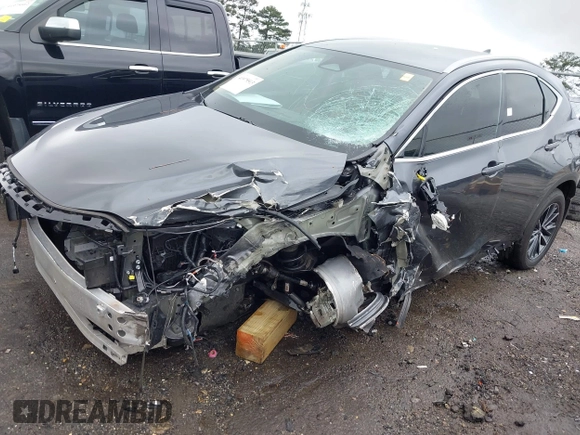 2024 Lexus NX 250 с VIN 2T2ADCAZ5RC006589, выставлен на аукционе IAAI как лот 41975513 с пробегом Не указан миль и . История ставок и продаж доступна на DreamBid. Изображение 2.