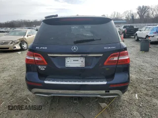 2015 Mercedes-Benz M 250 with VIN 4JGDA0EB4FA560403, listed as a Copart auction lot 48178765 with 211,602 mi miles and Clean Title. Bid and sale history available at DreamBid. Image 6.