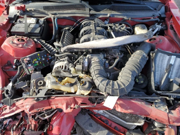 2008 Ford Mustang Deluxe with VIN 1ZVHT80N385174113, listed as a Copart auction lot 88776885 with Not provided miles and Salvage title. Bid and sale history available at DreamBid. Image 13.