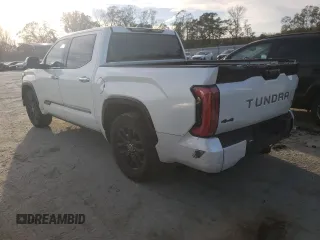 2022 Toyota Tundra Platinum with VIN 5TFNA5DB8NX014092, listed as a Copart auction lot 80914624 with 46,237 mi miles and Salvage title. Bid and sale history available at DreamBid. Image 2.