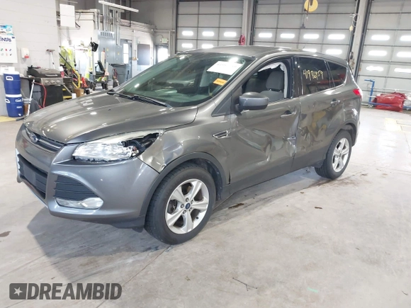 2014 Ford Escape SE with VIN 1FMCU9G99EUC45854, listed as a IAAI auction lot 41986959 with 124,591 mi miles. Bid and sale history available at carsss.com. Image 2.