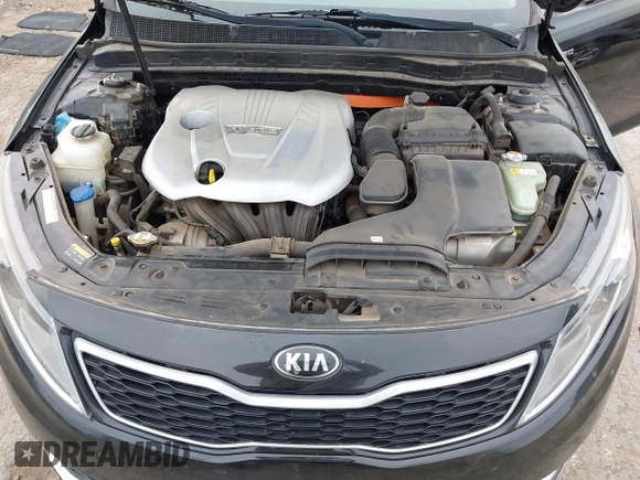 2013 Kia Optima EX with VIN KNAGM4AD9D5060201, listed as a IAAI auction lot 42020016 with 126,674 mi miles and . Bid and sale history available at carsss.com. Image 10.
