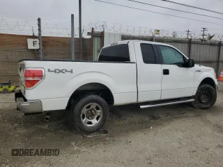 2011 Ford F-150 XL with VIN 1FTFX1EF3BKE18049, listed as a Copart auction lot 55444655 with 243,094 mi miles and Clean Title. Bid and sale history available at DreamBid. Image 3.