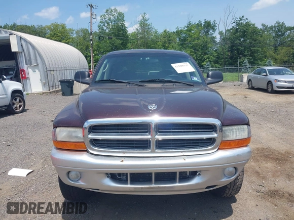 2004 Dodge Dakota SLT with VIN 1D7HG48NX4S649522, listed as a IAAI auction lot 42580132 with 124,037 mi miles and . Bid and sale history available at DreamBid. Image 6.