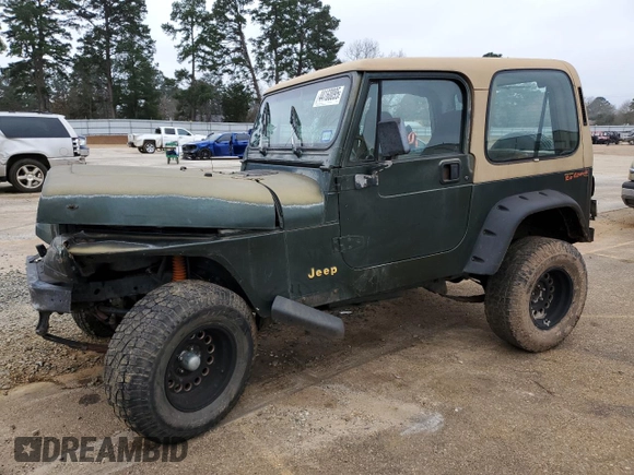 1995 Jeep Wrangler S with VIN 1J4FY19P5SP309461, listed as a Copart auction lot 44160095 with 264,727 mi miles and Salvage Title. Bid and sale history available at carsss.com. Image 1.
