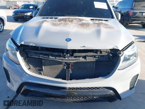 2017 Mercedes-Benz GLS 450 with VIN 4JGDF6EE7HA766672, listed as a IAAI auction lot 41365612 with Not Provided miles and . Bid and sale history available at DreamBid. Image 6.