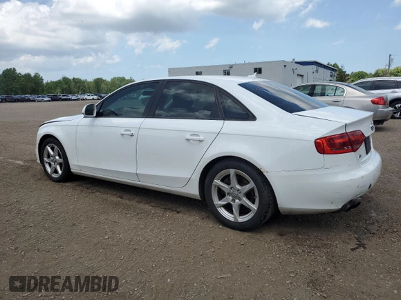 2009 Audi A4 with VIN WAULF68K59N025039, listed as a Copart auction lot 61571575 with Not provided miles and Salvage title. Bid and sale history available at DreamBid. Image 2.