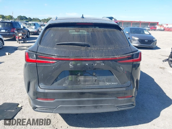 2024 Lexus NX 250 с VIN 2T2ADCAZ0RC010937, выставлен на аукционе IAAI как лот 41479185 с пробегом 19 996 миль миль и . История ставок и продаж доступна на DreamBid. Изображение 16.
