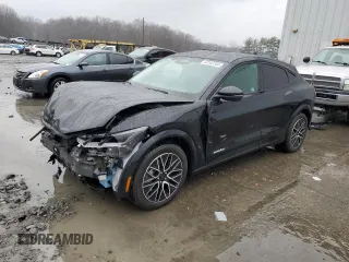 2024 Ford Mustang Mach-E Premium with VIN 3FMTK3R70RMA15127, listed as a Copart auction lot 83343264 with 66 mi miles and Salvage Title. Bid and sale history available at DreamBid. Image 1.
