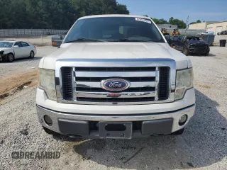 2010 Ford F-150 XL with VIN 1FTEX1E89AFB10260, listed as a Copart auction lot 57491885 with 185,044 mi miles and Salvage title. Bid and sale history available at DreamBid. Image 5.