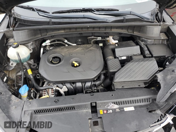 2019 Hyundai Tucson Value with VIN KM8J3CA4XKU855228, listed as a Copart auction lot 53317455 with 60,760 mi miles and Salvage title. Bid and sale history available at DreamBid. Image 12.